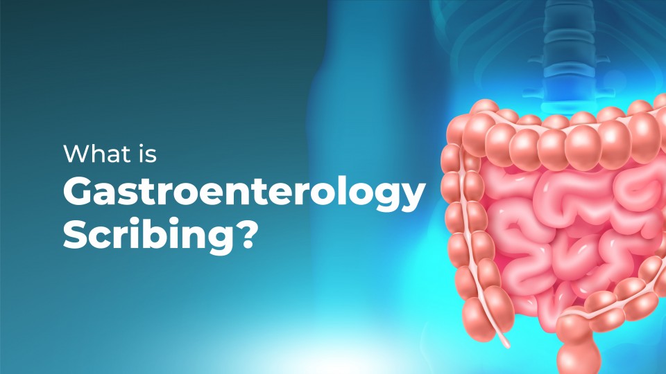 What Is Gastroenterology Scribing?