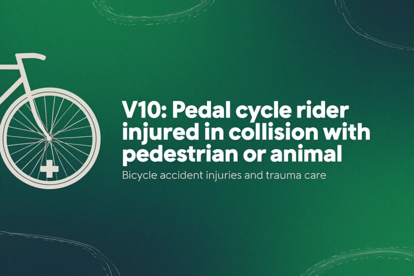 V10: Pedal cycle rider injured in collision with pedestrian or animal